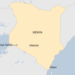 Plane with 12 on board crashes near Kenya’s coast