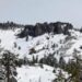 Final missing Lake Tahoe skier found dead 5 days after avalanche