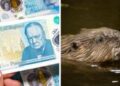 Banknotes, beavers and a very British backlash