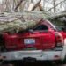 Boy, 12, among six dead as tornadoes hit Michigan and Oklahoma