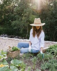 Want to Start an Herb Garden? These 5 Are Almost Impossible to Kill