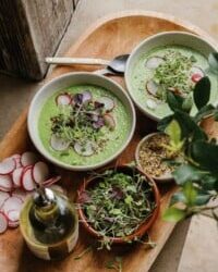 15 Spring Soup Recipes That Feel Light, Fresh, and Cozy